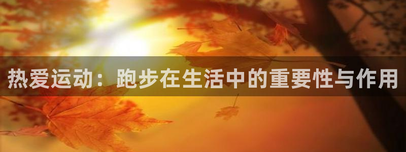 中欧体育网址