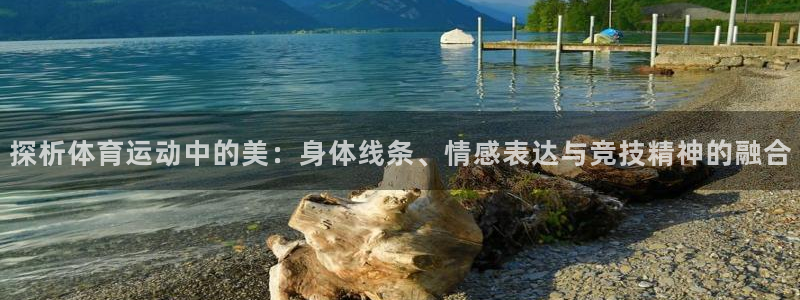 kok中欧体育登录