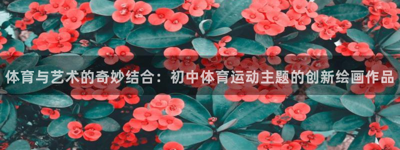 中欧体育网页版