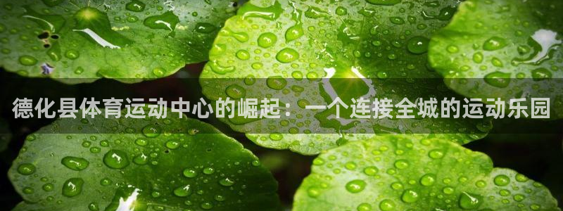 zyty中欧体育平台
