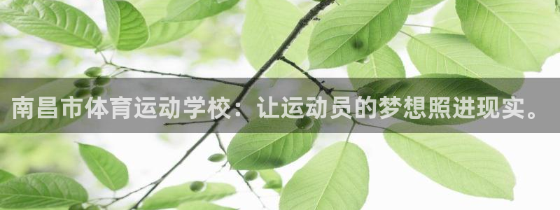 中欧体育(zoty)官网