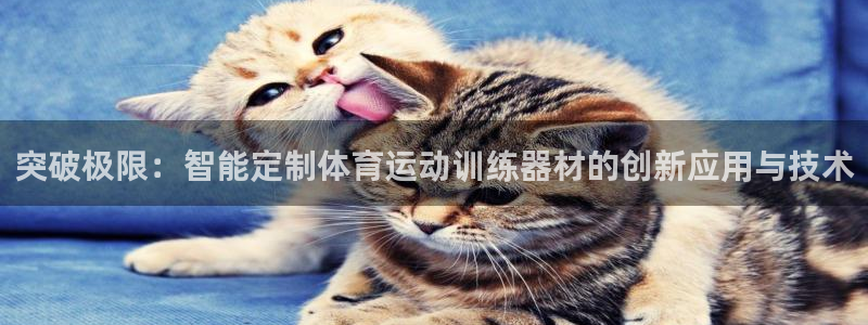 中欧体育网页登录