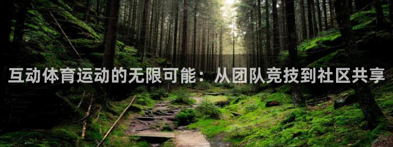 zyty中欧体育平台