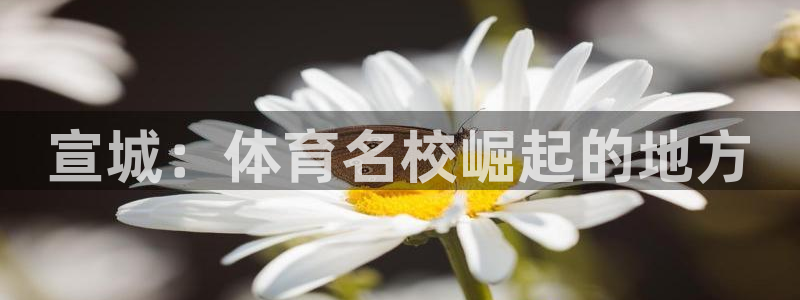 zoty中欧体育网址多少
