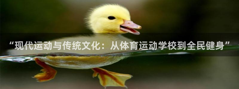 中欧体育