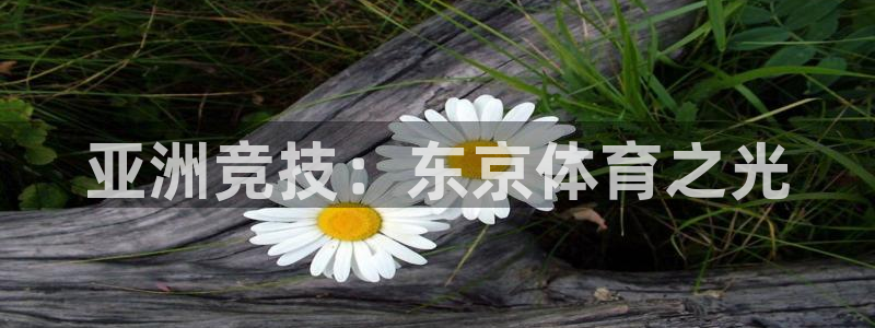 zoty中欧体育