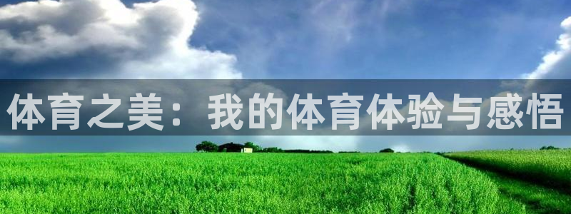 中欧体育ac米兰