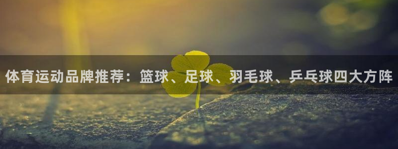 中欧体育客服