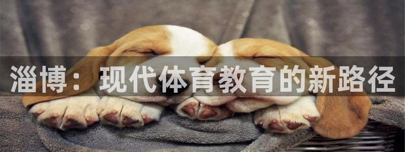 中欧体育app