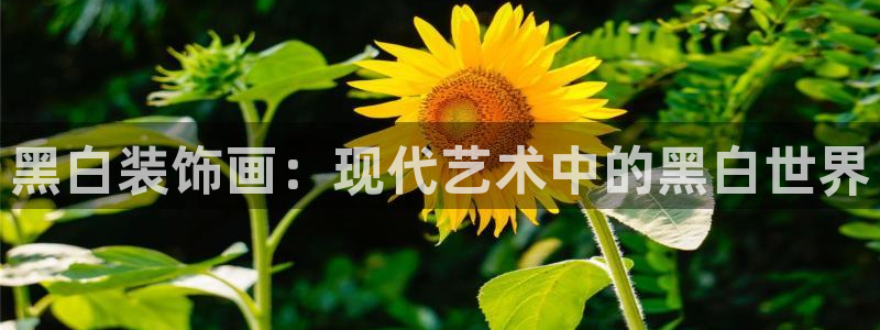 中欧体育最新地址