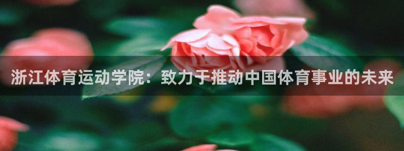 中欧体育网站