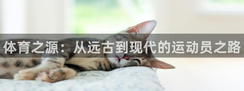 中欧体育kok官网首页