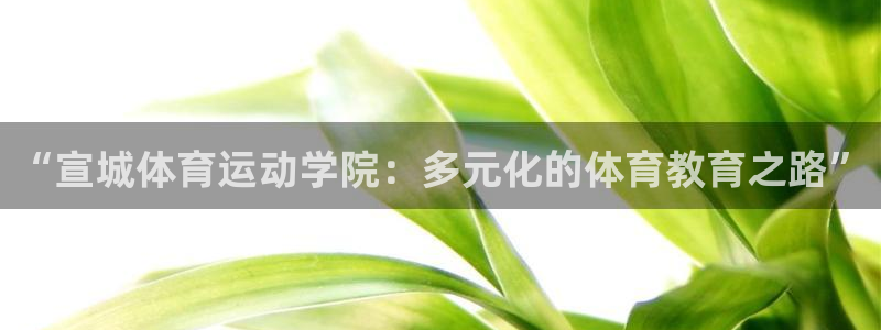 中欧体育网址