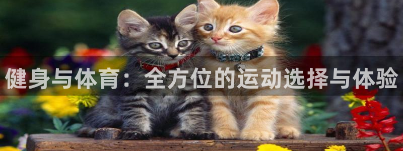 中欧体育kok官网首页