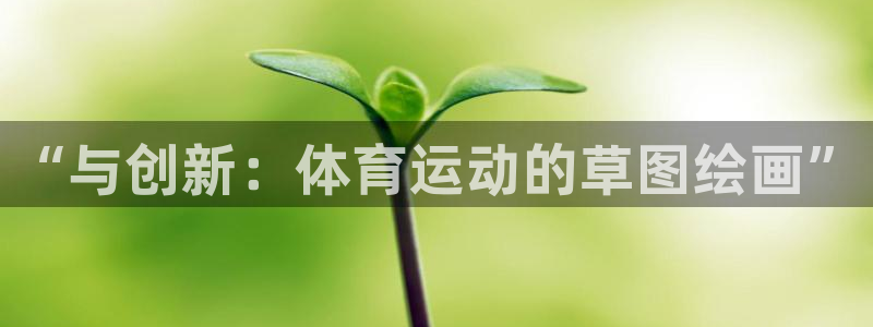 中欧体育kok